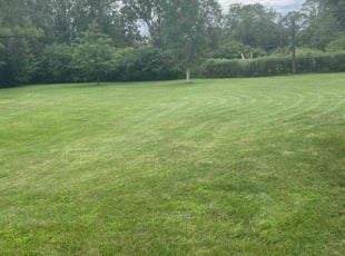 Jane B.'s Lawn Mowing Service service result