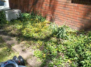 Cleanups by Caleb Patton for Noreen C. in Cincinnati, OH