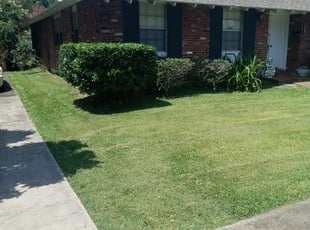 Bush Trimming by Gerald Helmke for Kye R. in Metairie, LA