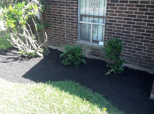 Mulching by Reynaldo Salazar for Robert T. in Houston, TX