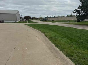 Patrick K.'s Lawn Mowing service result