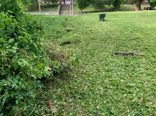 Cleanups by Gary Long for Danielle M. in Kansas City, KS