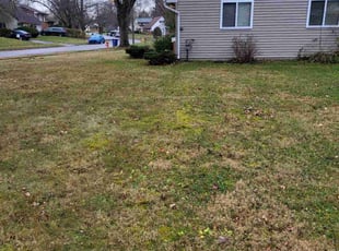 Leaf Removal by Josh Papworth for Pamela B. in Columbus, OH