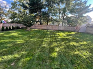 Kay G.'s Lawn Service service result