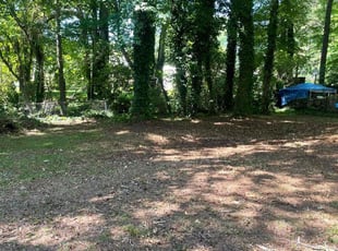 Leaf Removal by Latonya Talley for Rod N. in College Park, GA