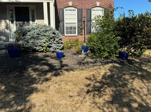 Weeding by Keith Vickers for Johnathan R. in Cold Spring, KY