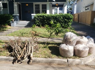 Leaf Removal by Hugo Melgar for Luke W. in Houston, TX