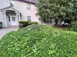 Bush Trimming by Nelly Arredondo for Matthias M. in Washington, DC