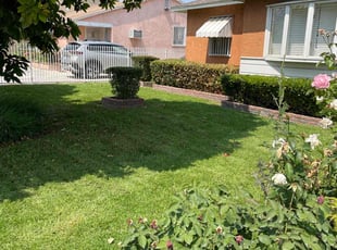 Bush Trimming by Jvon Robinson for John K. in Colton, CA