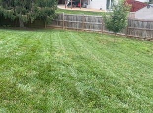 Lisa L.'s Bush Trimming service result