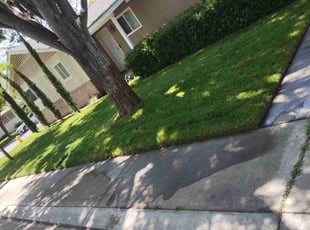 Rozella M.'s Lawn Mowing Service service result