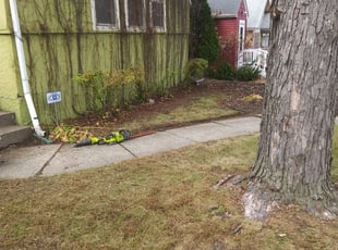 Leaf Removal by David Gallaway for Deborah K. in Saint Paul, MN