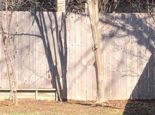 Cleanups by Chaes Pate for Matt K. in San Antonio, TX