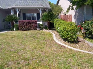 Bush Trimming by Louie Renobato for Jeremy J. in Fresno, CA