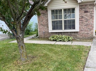Bush Trimming by Jeffery Anderson for Sheila R. in Indianapolis, IN
