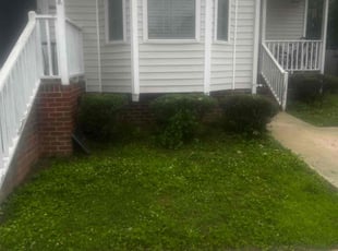Bush Trimming by Dominque Medlin for Ashley P. in Fuquay-Varina, NC