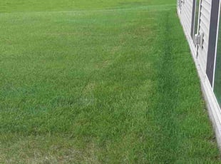 Cleanups by Rob Cordes for Stacy P. in Blaine, MN