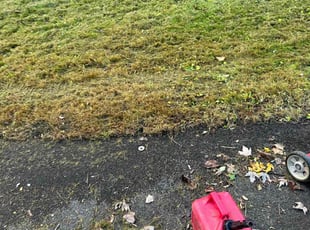 Leaf Removal by Chadmar Rouse for Denise C. in Rochester, NY