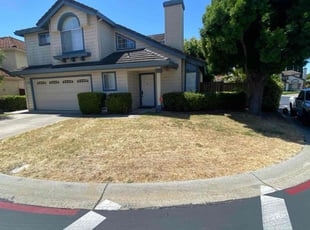 Marcos R.'s Lawn Mowing Service service result