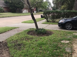 Weeding by Jesus Hernandez for Kathy E. in Houston, TX