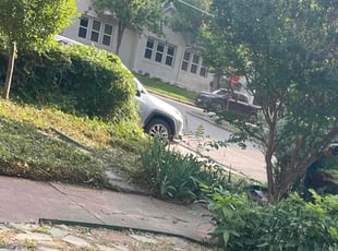 Bush Trimming by Simon Sanchez Jr for Joseph k. in Dallas, TX