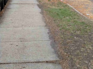 Leaf Removal by Rolf Johnson for Jama M. in Minneapolis, MN