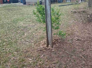 Leaf Removal by TKomo Dabner for Tarrell B. in Des Moines, IA