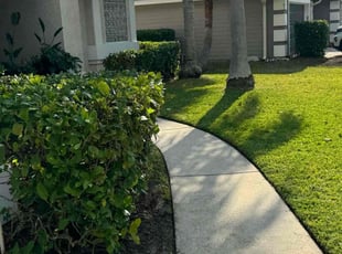 Bush Trimming by Delson Auguste for Maksym B. in Orange Park, FL