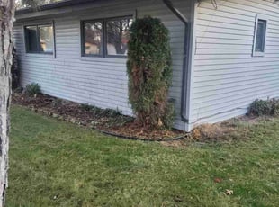 Bush Trimming by DD Lawncare for Emily G. in Spokane, WA