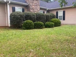 Bush Trimming by Andre Jefferson for Jamillah J. in Covington, GA
