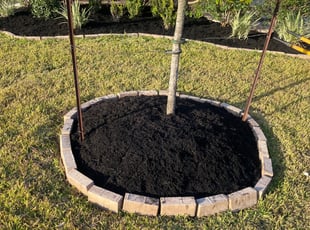 Landscaping by Edwin Fernandez for Mark W. in Katy, TX