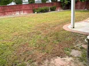 Cleanups by Edward Walsh for Noah B. in Riverside, CA