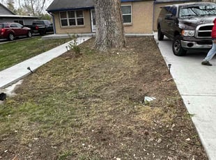 Leaf Removal by Nicholas Murillo for Tassi J. in Aurora, CO