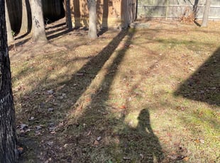 Richard J.'s Cleanups service result
