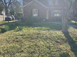 Leaf Removal by James Mozelle for Elizabeth S. in Hampton, VA