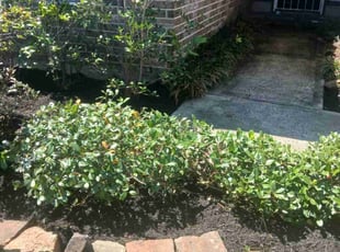 Mulching by Gabriel Pearson for Jessica F. in Houston, TX