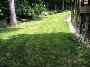 Cleanups by Kareem Bonner for Miles R. in Cincinnati, OH