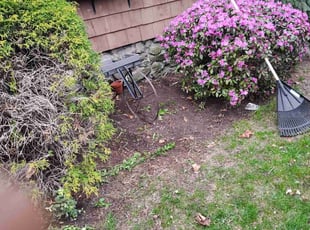 Leaf Removal by Amilcar Patrick for Debra L. in Lawrence, MA