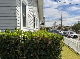 Bush Trimming by Nicholas Poulsen for Paris M. in San Diego, CA