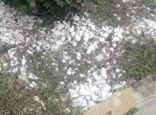 Rebecca E.'s Flower Bed Weeding service result