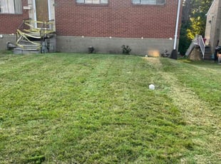 Adam W.'s Lawn Maintenance service result