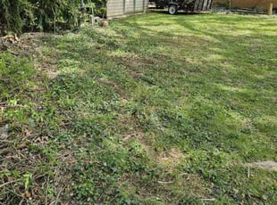 Cleanups by Angel Virola for Vernon K. in Lancaster, PA