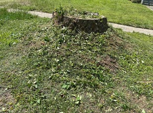 Weeding by Casey Moseley for Jordan H. in Portsmouth, VA