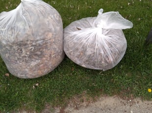 Leaf Removal by Frank Koller for Elizabeth R. in Carmel, IN
