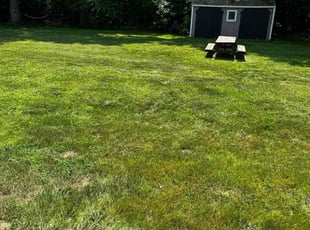 Ken S.'s Lawn Mowing Service service result
