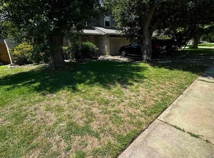 Weeding by Spencer Reed for Kevin B. in Round Rock, TX