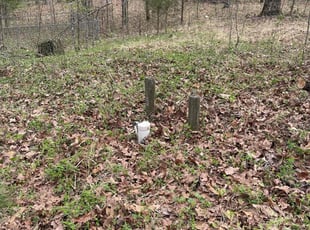 Cleanups by Booker Mims for Susan C. in Byhalia, MS