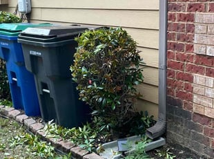 Bush Trimming by Maricela Onofre for Otega E. in Atlanta, GA