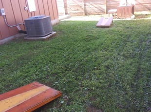 Cleanups by Lucio Gonzales for Andrea N. in Austin, TX