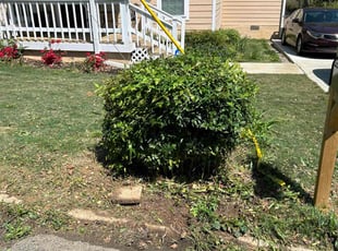 Bush Trimming by Mechelle Funches for lasheaka l. in Jonesboro, GA